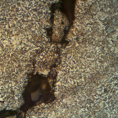 Micrography of a longitudinal section of the mooring chain, at the main crack position. The crack follows a network of segregations.