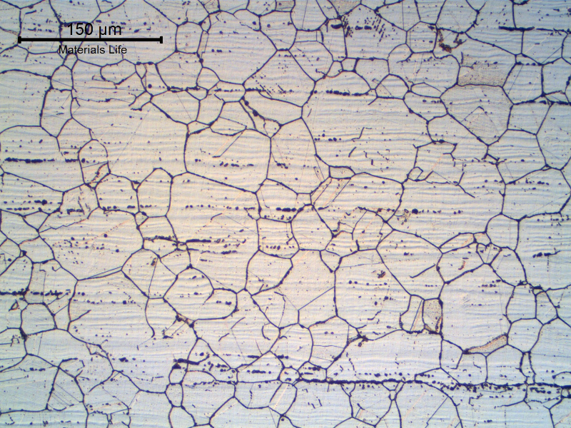 Microstructure of the plate in the center of the ¼” thickness.  Equiaxed austenitic grains with delta ferrite stringers and grain boundary carbide precipitation (sensitization).