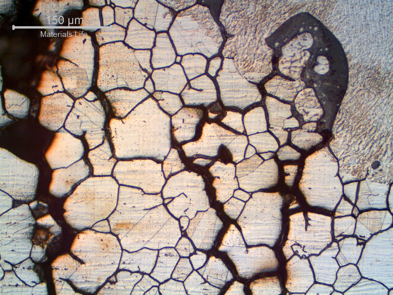 Detail of the fusion line region of the repair weld. It is possible to see that the cracks are filled with oxides indicating that the material was already corroded when the bead was deposited.