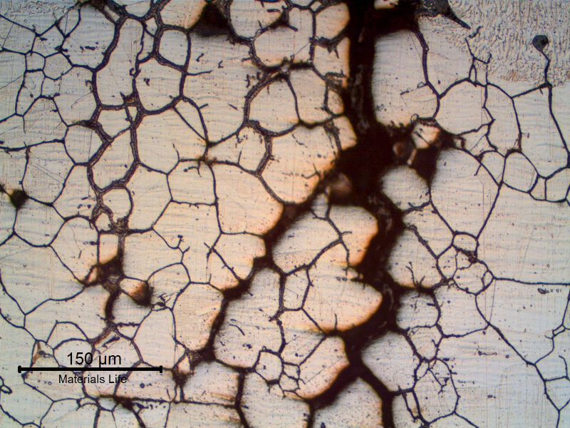 Detail of the fusion line region of the repair weld. It is possible to see that the cracks are filled with oxides indicating that the material was already corroded when the bead was deposited.