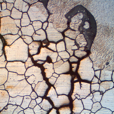 Detail of the fusion line region of the repair weld.  It is possible to see that the cracks are filled with oxides indicating that the material was already corroded when the bead was deposited.
