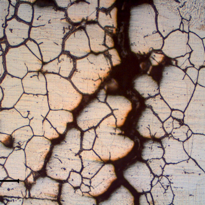 Detail of the fusion line region of the repair weld.  It is possible to see that the cracks are filled with oxides indicating that the material was already corroded when the bead was deposited.