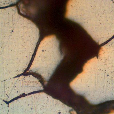 Detail of the fusion line region of the repair weld.  Cracks filled with oxides indicating that the material was already corroded when the bead was deposited.