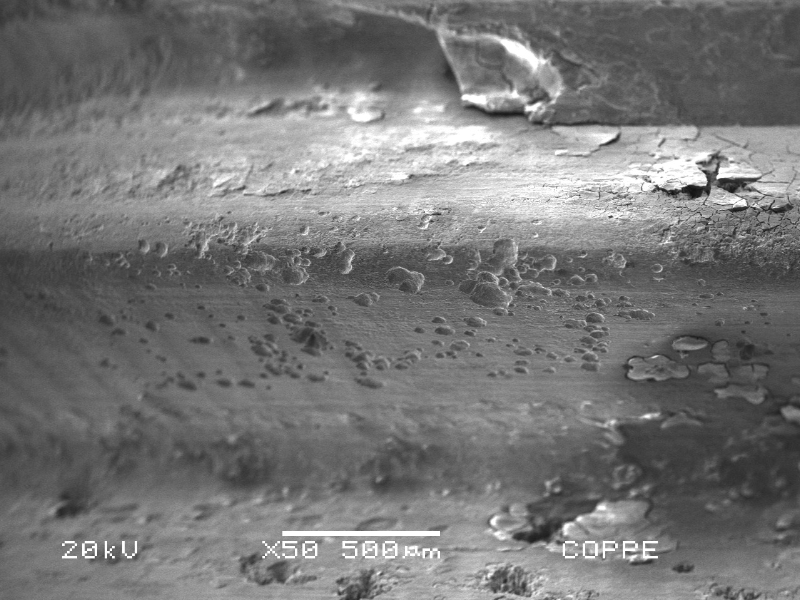 Regions of the pin thread presenting pitting corrosion.