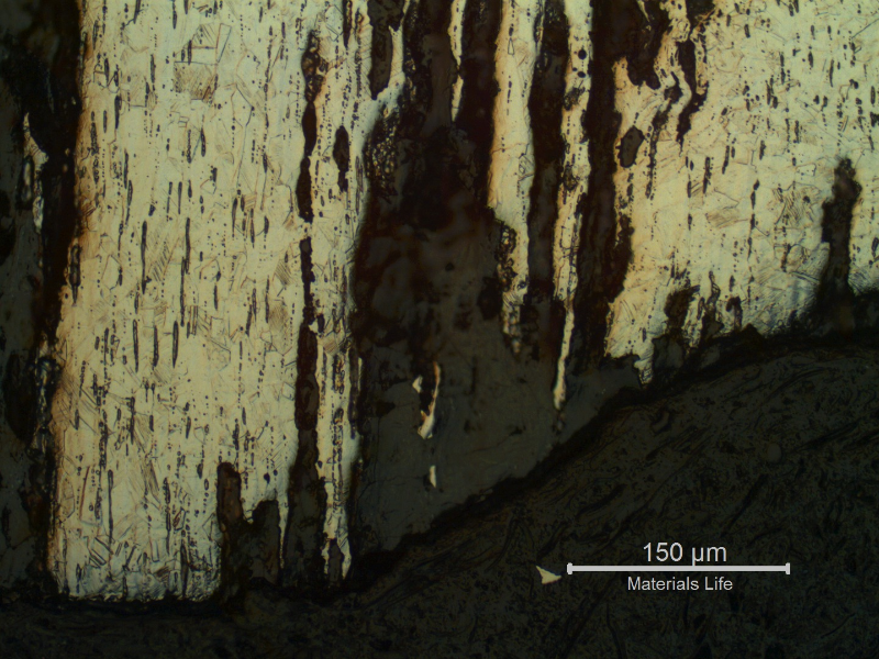The micrographic detail of the longitudinal section of the pin shows the localized corrosion associated to the non metallic inclusions.