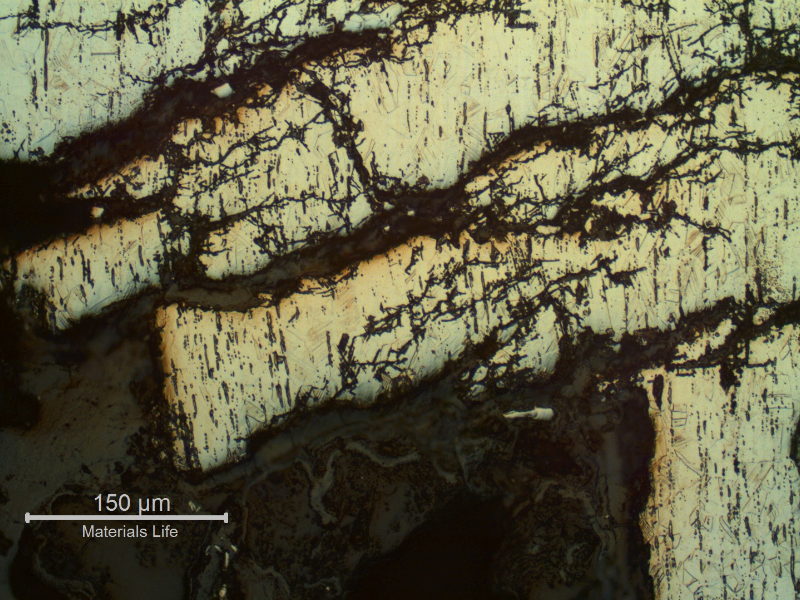 The micrographic detail of the longitudinal section of the pin shows the stress corrosion cracks propagating from crevice corrosion regions.