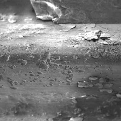 Regions of the pin thread presenting pitting corrosion.
