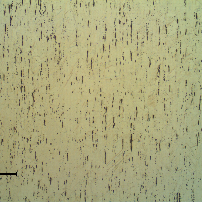 The pin microstructure in the longitudinal section shows austenitic structure, free from carbides, and sulfide inclusions that characterize the free cutting condition of this stainless steel.