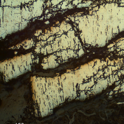 The micrographic detail of the longitudinal section of the pin shows the stress corrosion cracks propagating from crevice corrosion regions.
