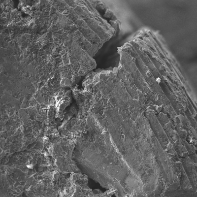 Detail of the pin surface showing that the material easily cracks because it presents regions of localized corrosion.