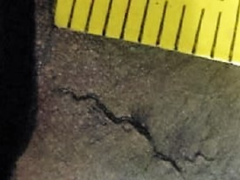 Aspect of the magnetic particle result in the sample cut from the blade.  The yellow scale is in mm.