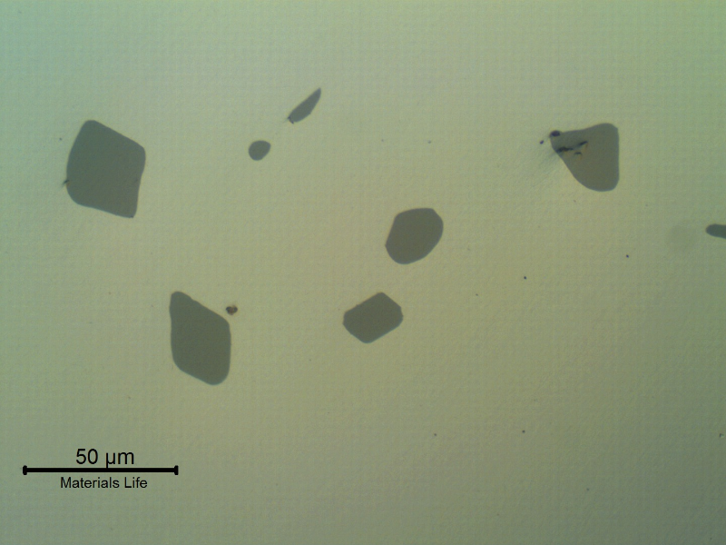 Micrographic detail  non metalic inclusions in the region where there are casting defects. As polished.