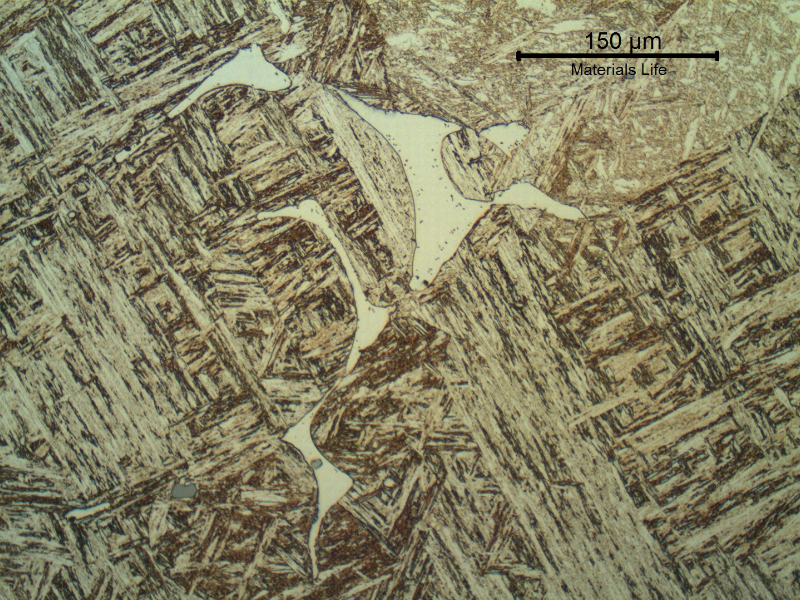 Blade microstructure. Tempered martensite, (probably) retained austenite and delta ferrite islands.