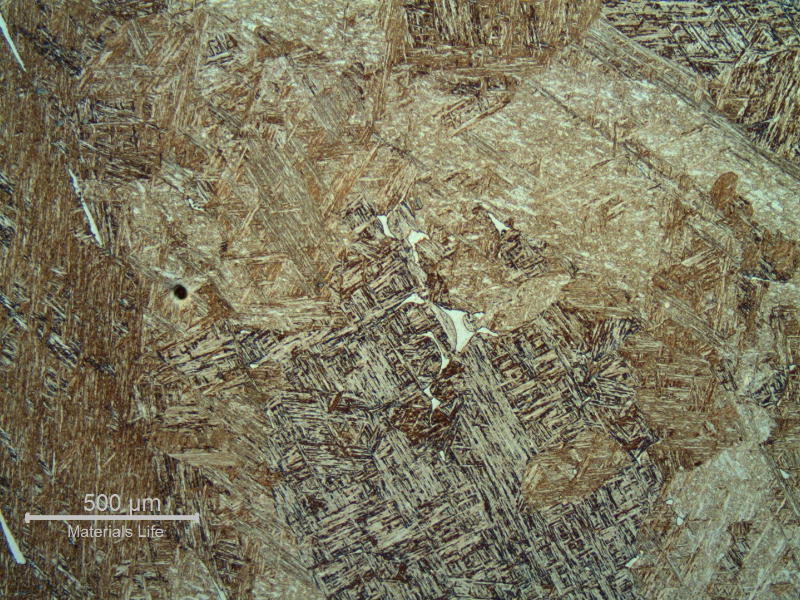 Blade microstructure. Previous austenite coarse grains.