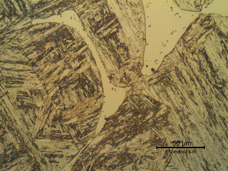 Blade microstructure. Tempered martensite, (probably) retained austenite and delta ferrite islands.