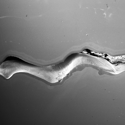 Casting defect identified in the micrographic section, as polished, of the sample removed from the blade. The total lenght of the defect detected by magnetic particle during inspection is 10 mm.