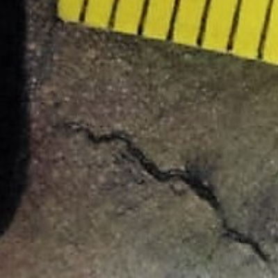 Aspect of the magnetic particle result in the sample cut from the blade.  The yellow scale is in mm.