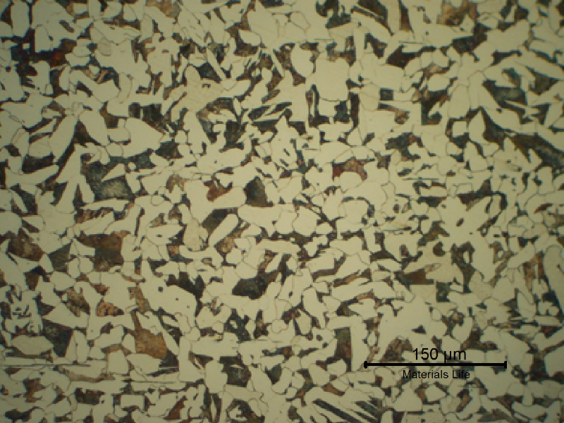 Ferritic perlitic structure of the shell plate.