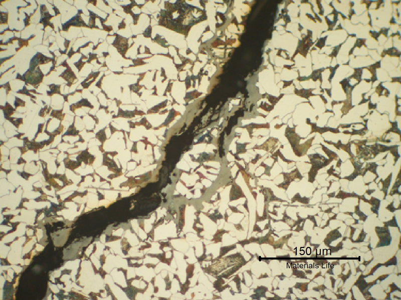 Stress corrosion cracks propagating in the ferritic-perlitic structure.