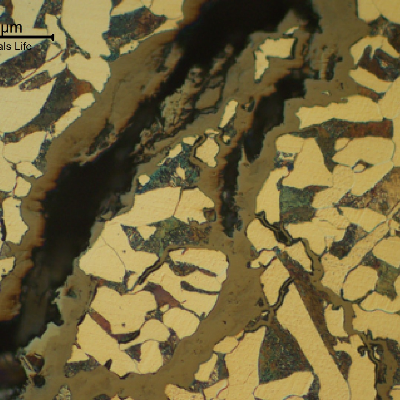Typical branched stress corrosion cracks in a low carbon steel, ferritic-pertlitic structure. The cracks are filled with corrosion products.