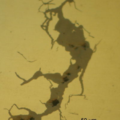 Micrographic detail of a crack, in a sample as polished, presenting regions of opened cracks and filled cracks.