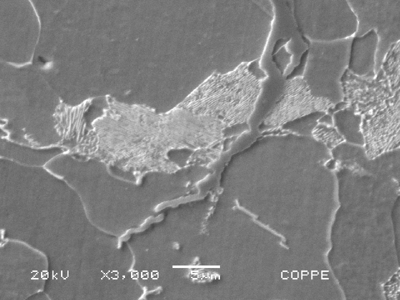 Micrography of a transverse section of the shell plate in a cracked position showing the transgranular morphology of the stress corrosion cracks.