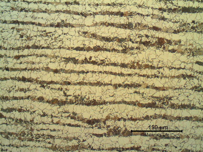 Micrography of the shell plate in the longitudinal section. Ferritic-perlitic microstructure.