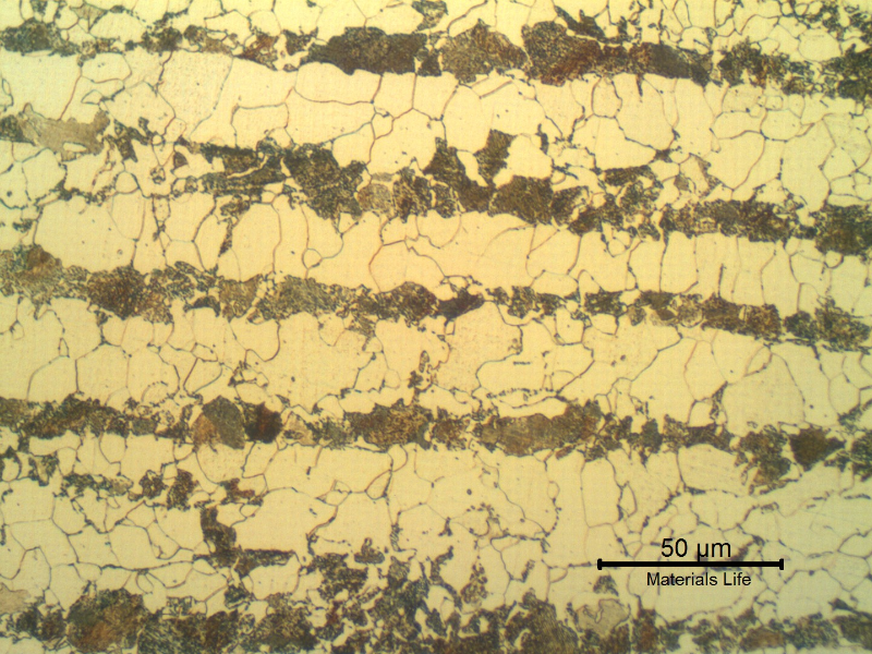Micrographic detail of the shell plate in the longitudinal section. Ferritic-perlitic microstructure.