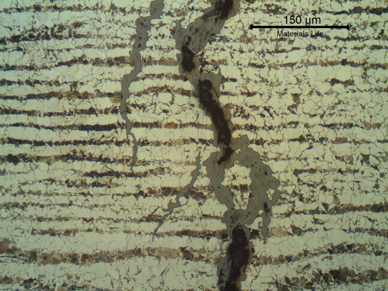 Micrographic detail of the cracking showing the branched nature, typical of a stress corrosion cracking. The cracks presented a transgranular morphology