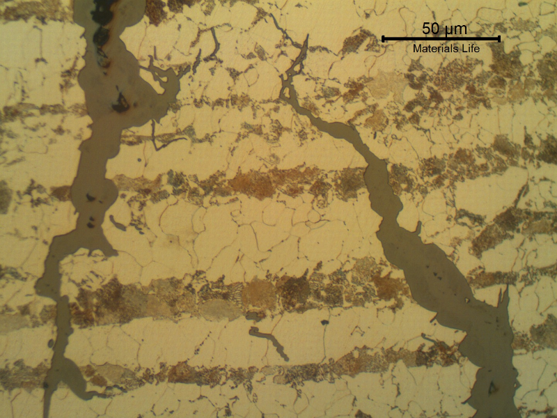 Micrographic detail of the transgranular stress corrosion cracking.
