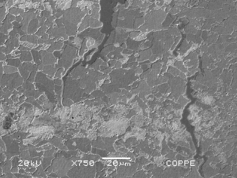 Micrographic detail of the transgranular stress corrosion cracking.
