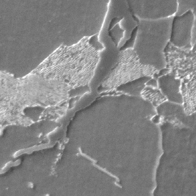 Micrography of a transverse section of the shell plate in a cracked position showing the transgranular morphology of the stress corrosion cracks.