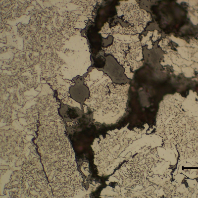 Detail of the secondary cracks in the weld metal with intergranular morphology. Stress Corrosion Cracking.