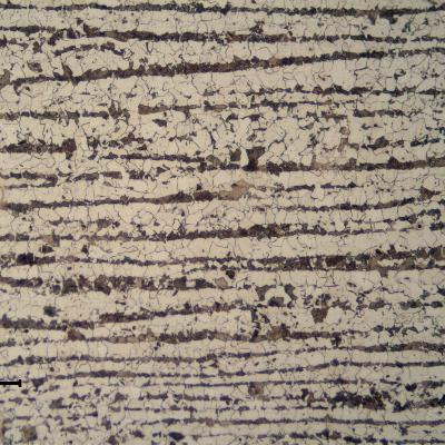 Ferritic perlitic microstructure, banded, in the center of the 3/4" thick C-Mn plate.  Refined Structure.