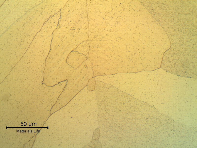 Micrography of the transverse section of the tube presenting the columnar grains of the autogenous weld, in the central region of the weld.