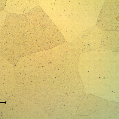 Equiaxial grains of a ferritic structure, in a longitudinal section of the tube.
