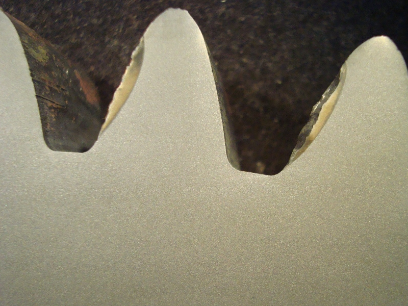 The macrography of the transverse tooth section of the SPUR GEAR shows that the surface is not hardened by any process or treatment.