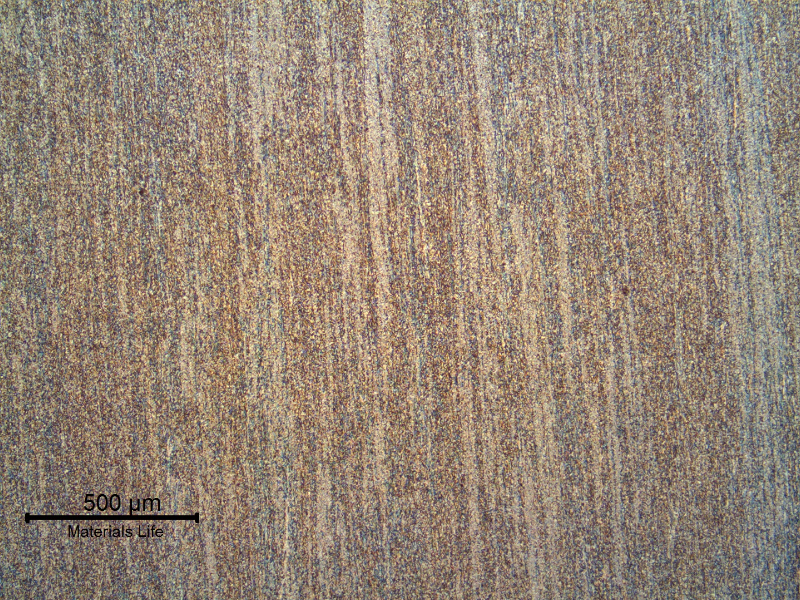 The plate longitudinal section presents a granular refined structure. Biphasic.