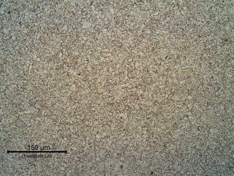 Longitudinal section of the fitting in the center of the thickness (2"). Refined ferritic structure.