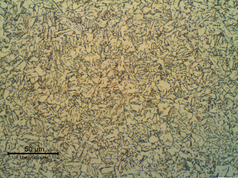 Longitudinal section of the fitting in the center of the thickness (2"). Refined ferritic structure.