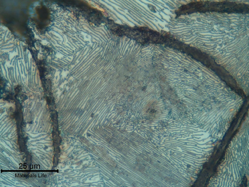 Grey cast iron microstructe. Perlitic matrix and graphite flakes.