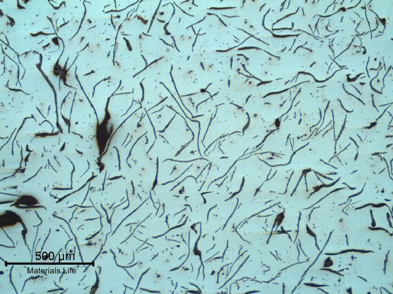 Low magnification micrography presenting the grapjite morphology.