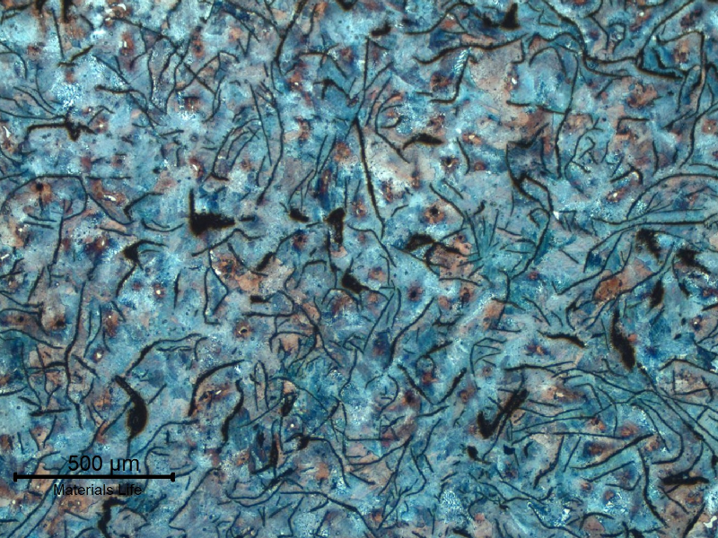 Grey cast iron with graphite in flakes and perlitic matrix.