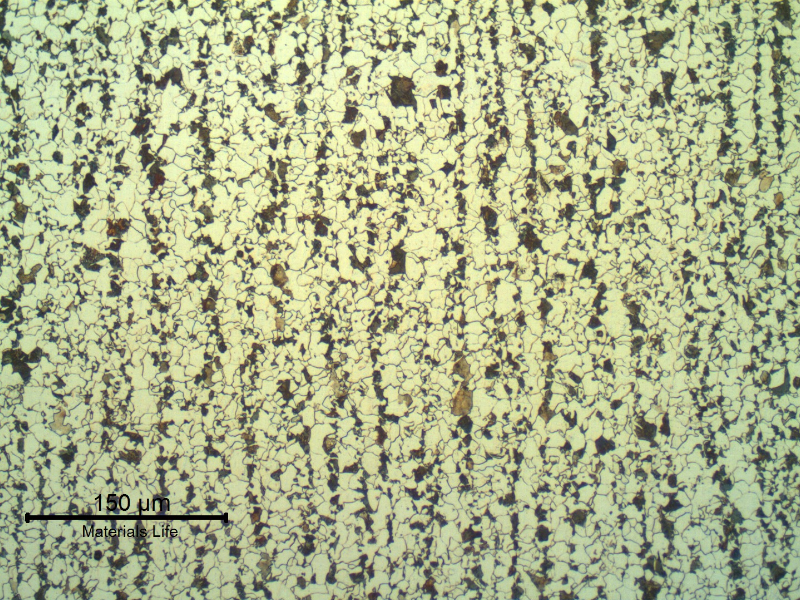 Ferritic perlitic structure of the plate. Longitudinal section.