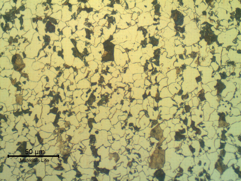 Ferritic perlitic structure of the plate.  Longitudinal section.