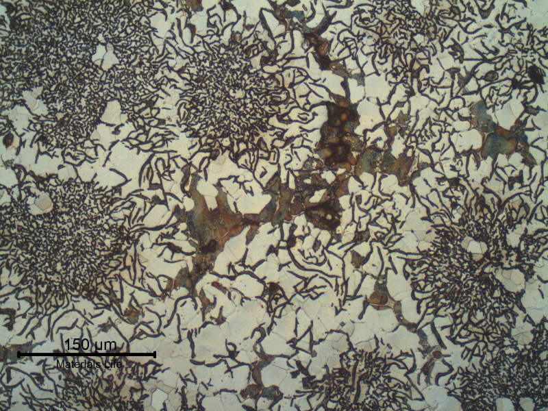 Micrography of the longitudinal section of the pipe, in the center of the thickness. Graphite in flakes and ferritic matrix with small regions of perlite.