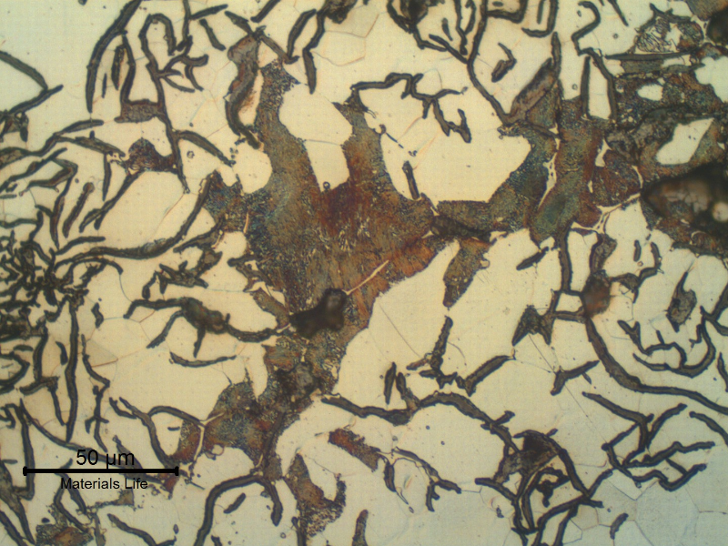 Micrography of the longitudinal section of the pipe, in the center of the thickness. Graphite in flakes and ferritic matrix with small regions of perlite.
