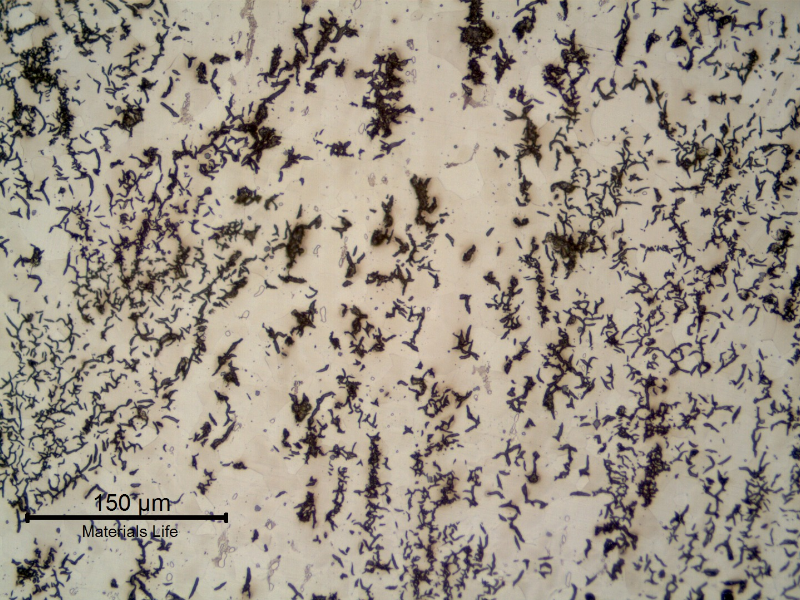 Micrography of the longitudinal section of the pipe, close to the external surface. Graphite in flakes and predominantly ferritic matrix .