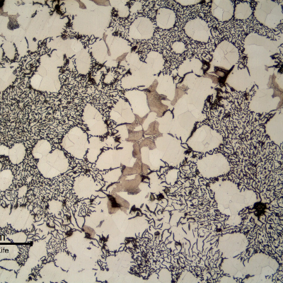 Micrography of the longitudinal section of the pipe, close to the internal surface, showing graphite in flakes and ferritic matrix with small regions of perlite.