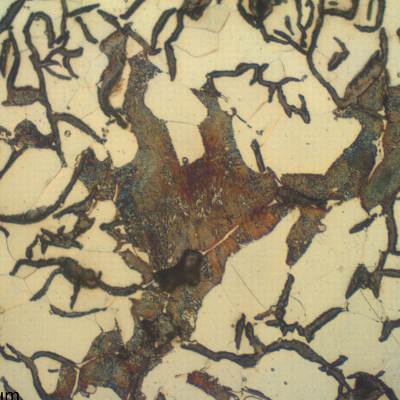 Micrography of the longitudinal section of the pipe, in the center of the thickness. Graphite in flakes and ferritic matrix with small regions of perlite.